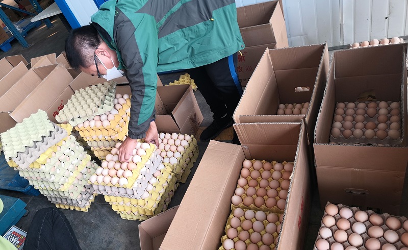 调研鸡蛋交割库2缩小版.jpg 调研鸡蛋交割库2缩小版.jpg