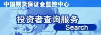 投资者查询服务系统